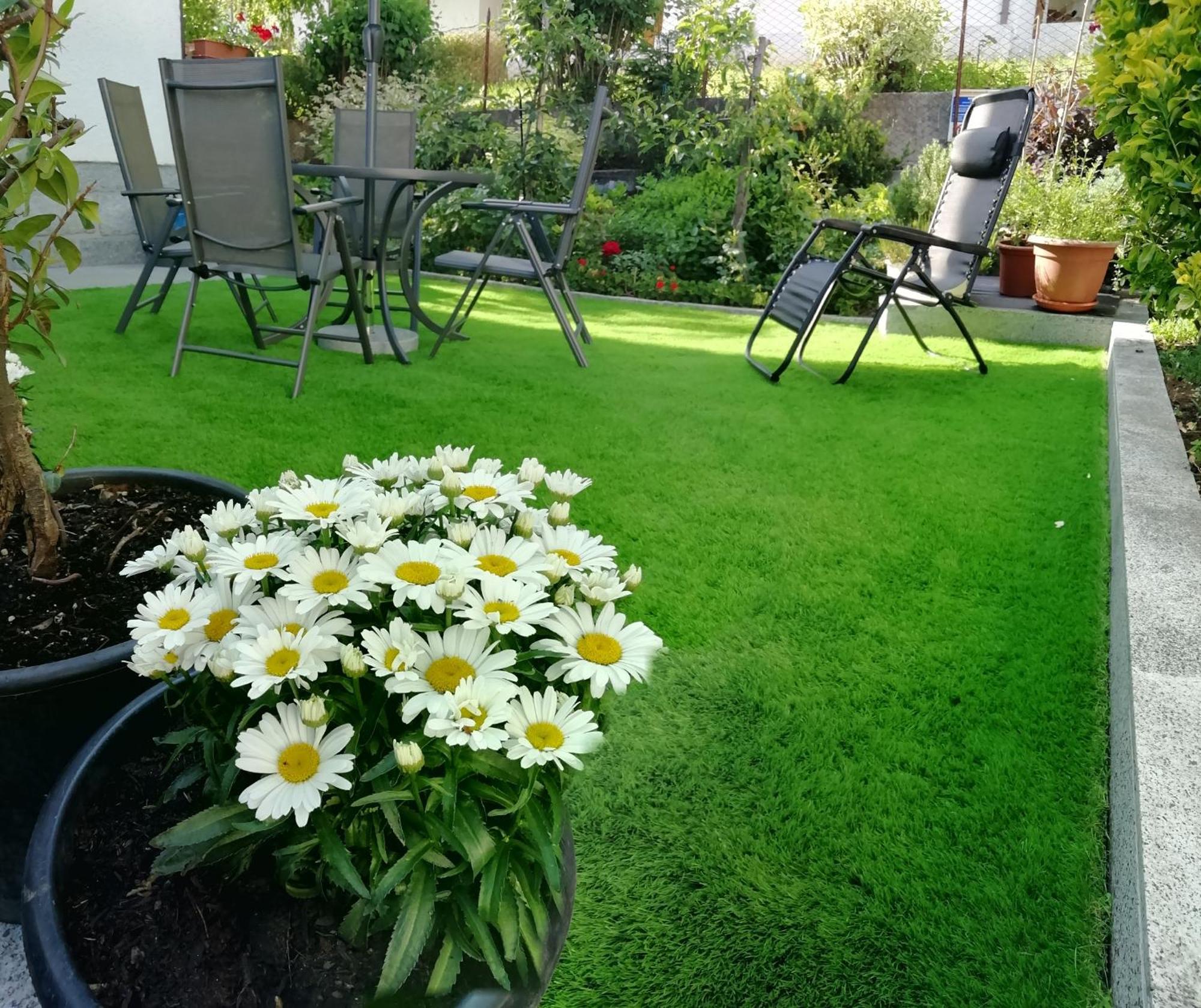Appartamento Con Giardino Carisolo Ngoại thất bức ảnh
